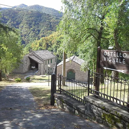 Il Vignale بيت شباب *